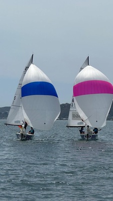 2024-wasc-spinnaker